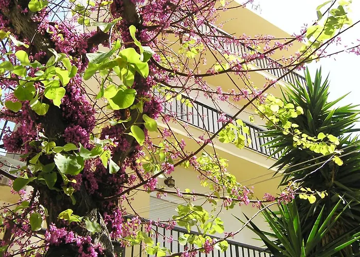 Popy Apartments